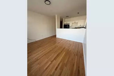 753 S Kedzie Avenue #2, Chicago, IL 60612 - Photo 2