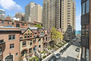 39 E Schiller St, Chicago, IL 60610 - Photo 32