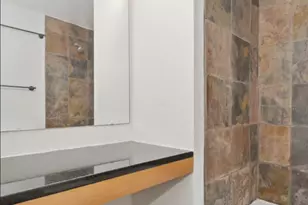 [Address not provided], Chicago, IL 60611 - Photo 12