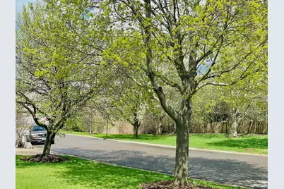 88 Hackney Lane, Lindenhurst, IL 60046 - Photo 60