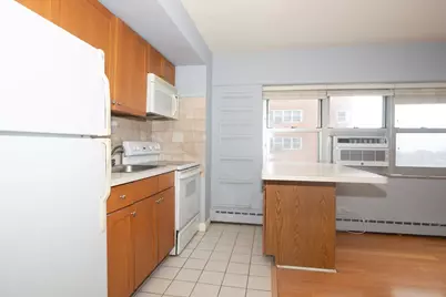 4950 N Marine Drive #802, Chicago, IL 60640 - Photo 8