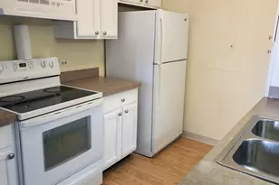 606 E Woodland Park Ave, Chicago, IL 60616 - Photo 4