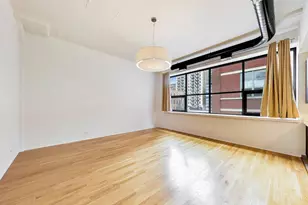 1021 S State St, Chicago, IL 60605 - Photo 6