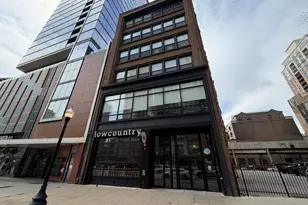 1132 S Wabash Ave, Chicago, IL 60605 - Photo 1