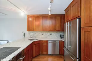 211 E Ohio St, Chicago, IL 60611 - Photo 6