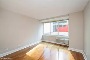 211 E Ohio St, Chicago, IL 60611 - Photo 10