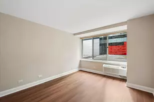 211 E Ohio St, Chicago, IL 60611 - Photo 6