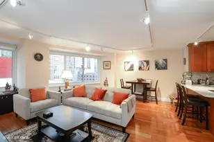 211 E Ohio St, Chicago, IL 60611 - Photo 4