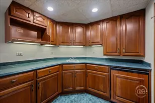 3N221 Springwood Ln, Elburn, IL 60119 - Photo 28