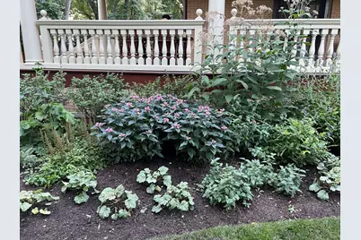 [Address not provided], Evanston, IL 60202 - Photo 4