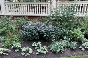 [Address not provided], Evanston, IL 60202 - Photo 4