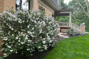 [Address not provided], Evanston, IL 60202 - Photo 6