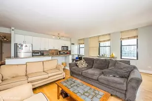 330 N Jefferson St, Chicago, IL 60661 - Photo 4