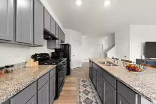 4202 Chelsea Mnr Cir, Aurora, IL 60504 - Photo 6