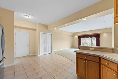 245 W Johnson Street #302, Palatine, IL 60067 - Photo 10