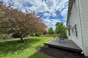 24850 Michele Dr, Plainfield, IL 60544 - Photo 34