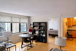 850 N Dewitt Pl, Chicago, IL 60611 - Photo 4