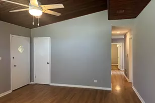 22535 Ridgeway Ave, Richton Park, IL 60471 - Photo 10