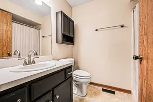 157 Saenz Ln, Joliet, IL 60436 - Photo 10