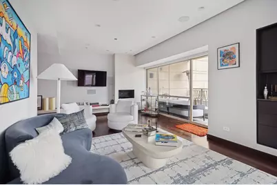 800 N Michigan Avenue #2502, Chicago, IL 60611 - Photo 12