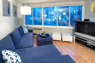 211 E Ohio St, Chicago, IL 60611 - Photo 6