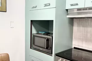 4800 S Chicago Beach Dr, Chicago, IL 60615 - Photo 14