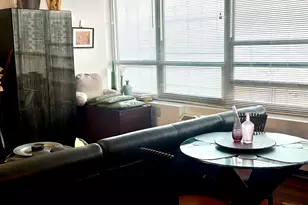 4800 S Chicago Beach Dr, Chicago, IL 60615 - Photo 8