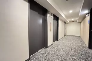 300 N State St, Chicago, IL 60654 - Photo 18