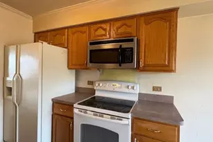 10355 Parkside Ave, Oak Lawn, IL 60453 - Photo 8