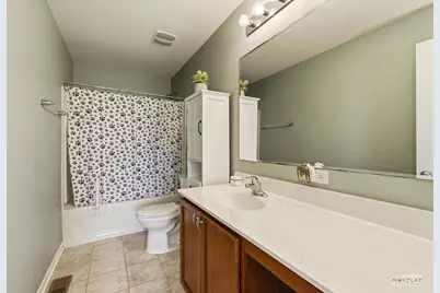 4355 Schofield Drive, Oswego, IL 60543 - Photo 28