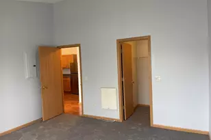 1517 Silverstone Dr, Carpentersville, IL 60110 - Photo 16