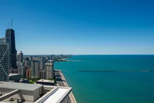 600 N Lake Shore Dr, Chicago, IL 60611 - Photo 28