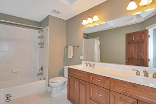 20687 Settler's Ln, Frankfort, IL 60423 - Photo 22
