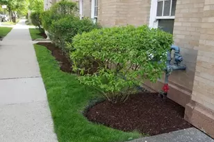 802 Elmwood Ave, Evanston, IL 60202 - Photo 2