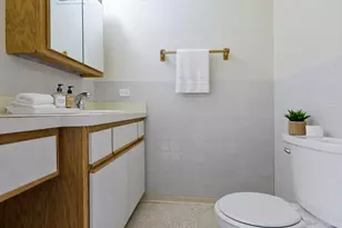 9520 S Mayfield Ave, Oak Lawn, IL 60453 - Photo 20