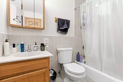313 W 23rd Street #601, Chicago, IL 60616 - Photo 10