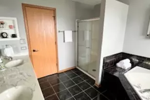 1199 Janice Dr, Sauk Village, IL 60411 - Photo 20
