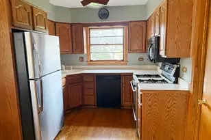 231 S Princeton Ave, Arlington Heights, IL 60005 - Photo 4