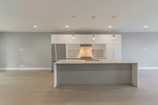 731 W 17th St, Chicago, IL 60616 - Photo 28