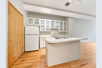 910 S Michigan Avenue #1009, Chicago, IL 60605 - Photo 8