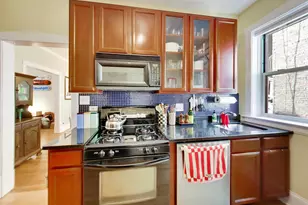 443 N Lombard Ave, Oak Park, IL 60302 - Photo 10