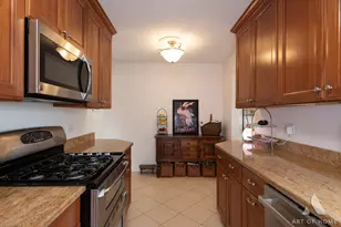 348 N Schiller St, Palatine, IL 60067 - Photo 10