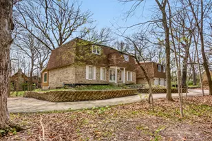 855 Drummore Ln, Frankfort, IL 60423 - Photo 1