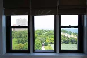 5300 S Shore Dr, Chicago, IL 60615 - Photo 14