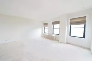 5300 S Shore Dr, Chicago, IL 60615 - Photo 8