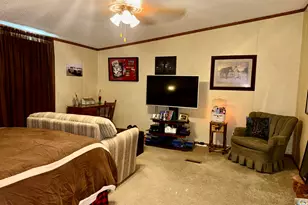 2025 Central Hill Rd, Grantsburg, IL 62943 - Photo 12