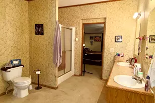 2025 Central Hill Rd, Grantsburg, IL 62943 - Photo 14