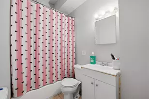 9020 S Burley Ave, Chicago, IL 60617 - Photo 16