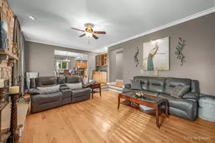 298 Cara Ln, Wood Dale, IL 60191 - Photo 14