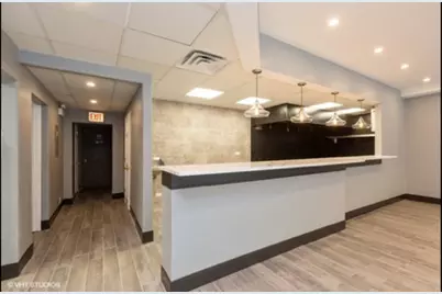 163 W Division Street, Chicago, IL 60610 - Photo 14